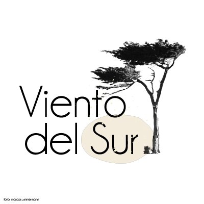 Viento del Sur